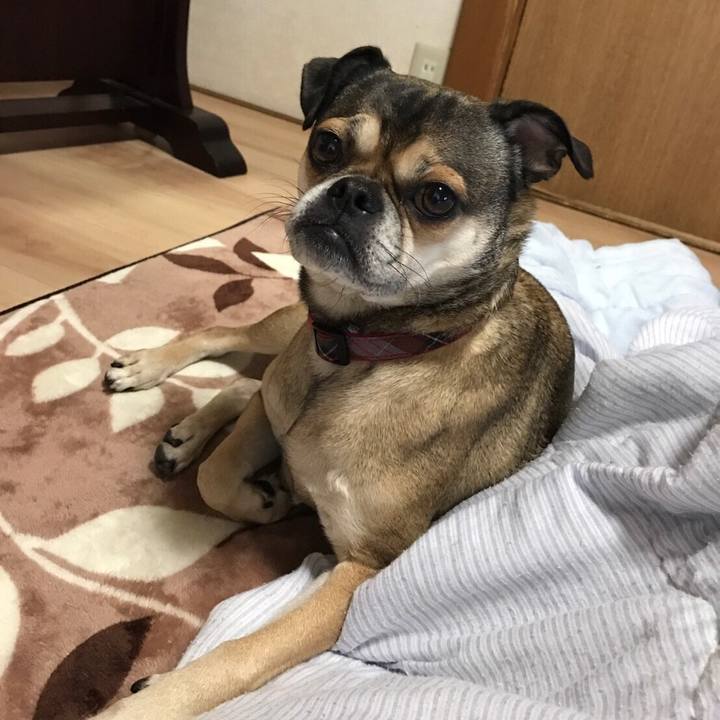 A80ad1aa 1d28 4395 a7ec a637eb359d36