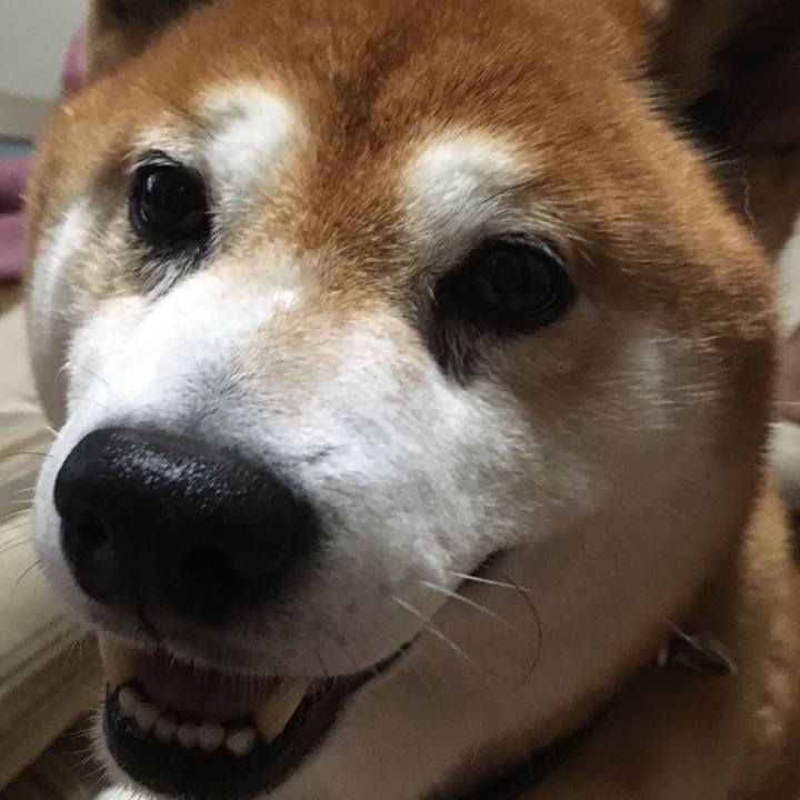 A80b20fc f7e1 494b 8ece d22ed63864d4