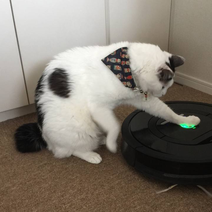 A80b6a23 0fa7 40a1 aebf 5bf0e4747fb7