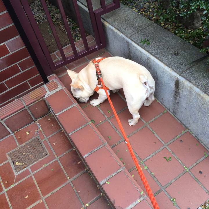 A80b6f73 5e10 4bbe ac87 b1abaa1ee951