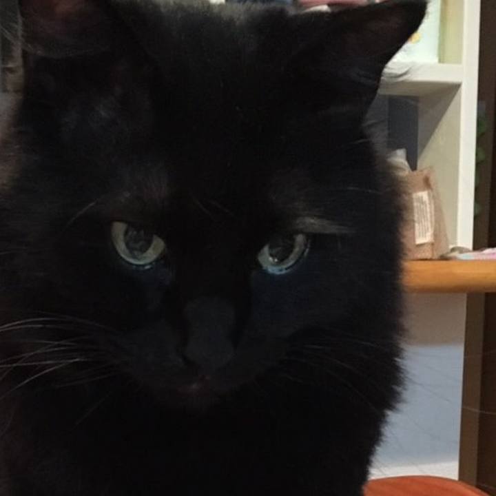 A80c8393 eb50 4cc5 90e4 b3328dbafdc8