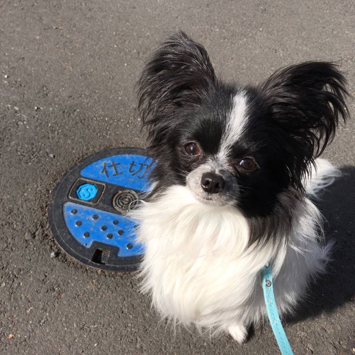 A80d520c 2a35 4a57 9d5e 6497b7df9005