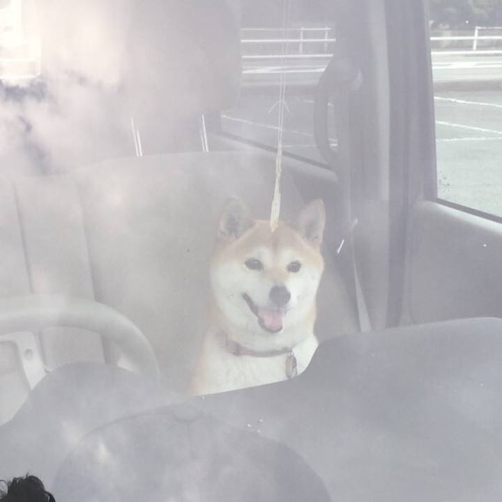 A80d576e f800 4a32 b424 ee97eb00c9f9