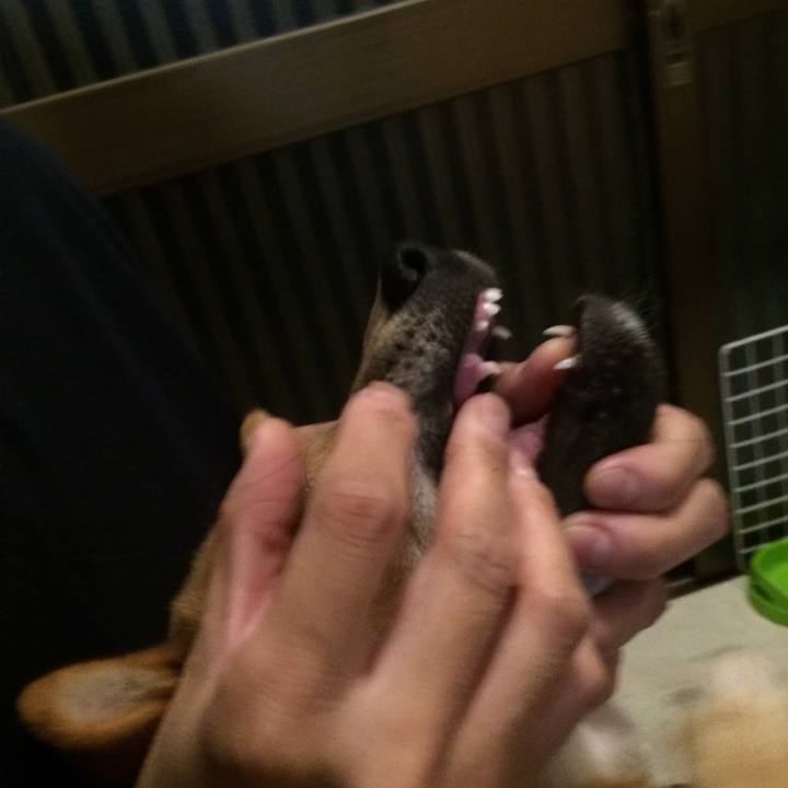 A80dd22c c540 491f b84a 749567f2441a