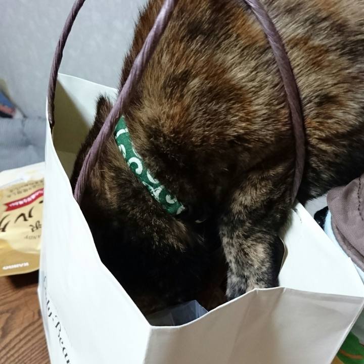 A80e4717 e01b 4ca7 baef e69d6431a11d