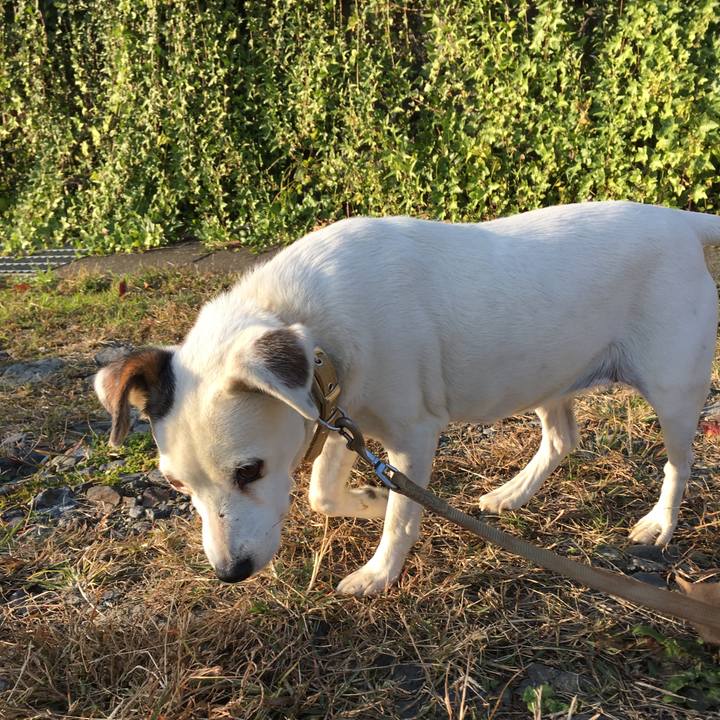 A80eb6ce 75a9 4177 b0cd f5c0b2b9b666