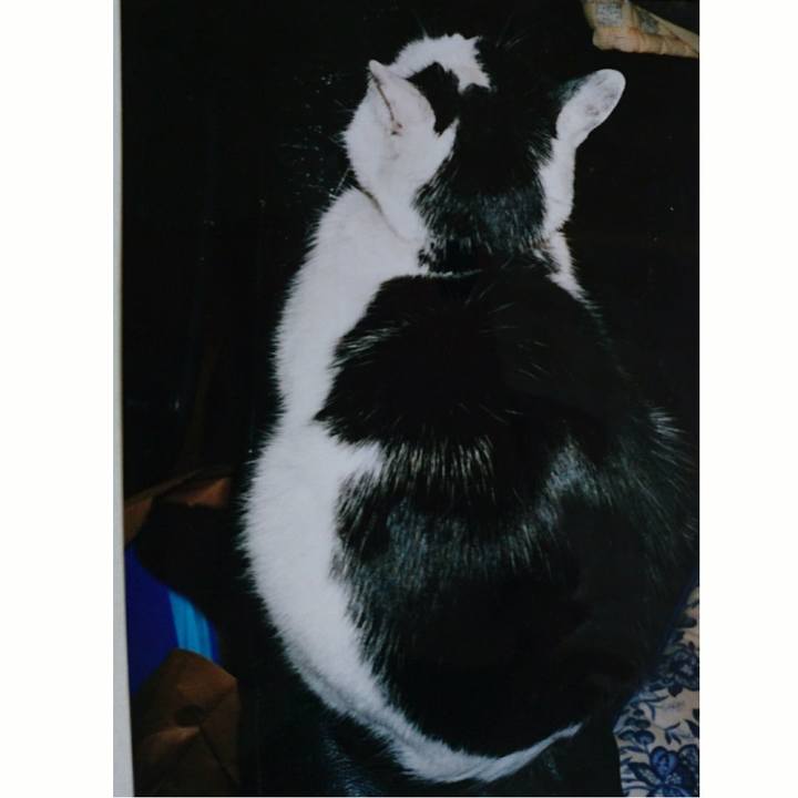 A80f5052 7e77 4fa5 9fc0 9869a8b170b9