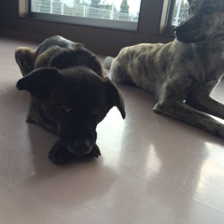 A80fe4d3 e7a7 40d3 92fd a43ce3785eaf