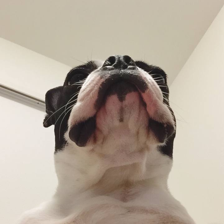 A8107b9c e7bc 4e93 b13f 273a32e41c04