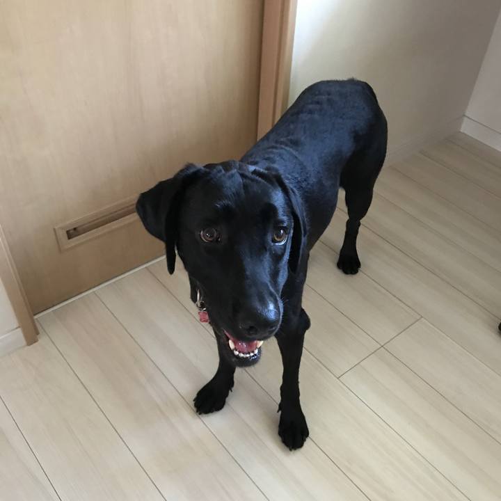 A8115ef6 7630 4afd b230 9fa2ab152d81