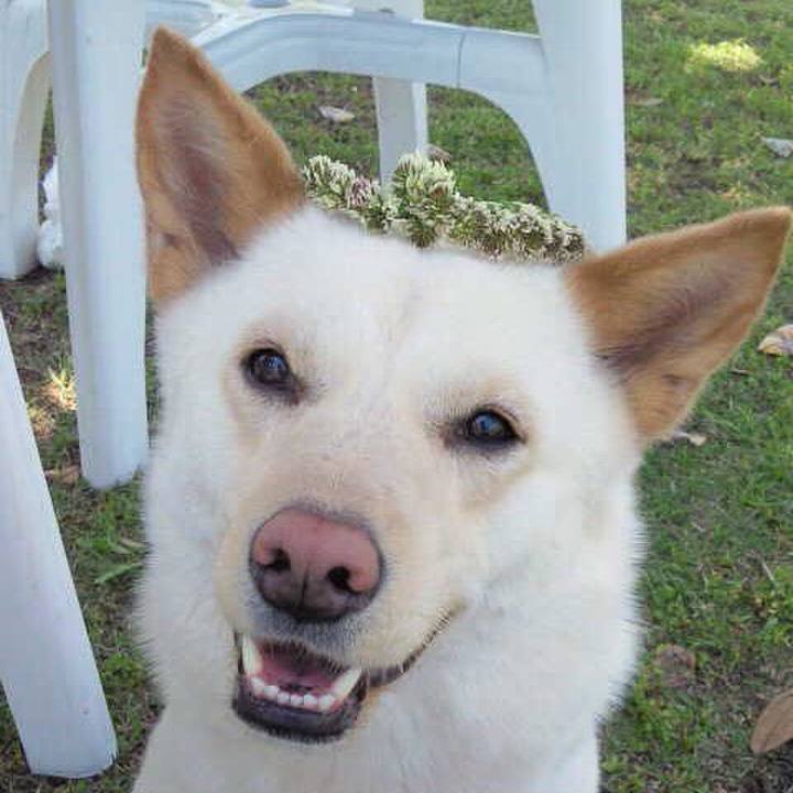 A8121de9 edb1 44c4 b108 1b9a99b6393c