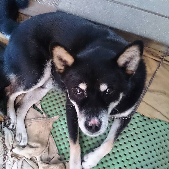 A8122e35 8fb3 41d6 b60b b45daaca1a89