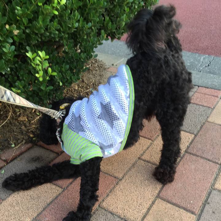 A812eca1 cbfd 45f1 93ef c17ce6d7d45b