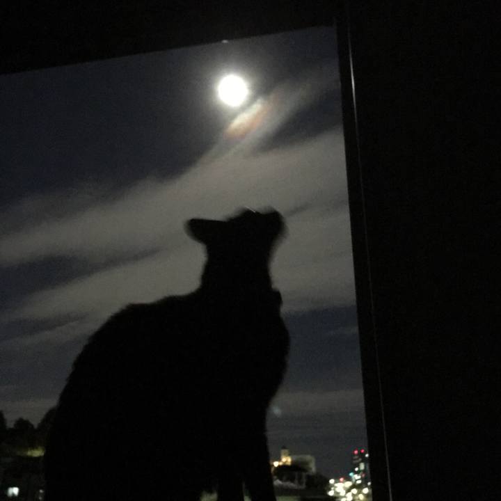 A81352f4 a0ec 43a0 98cb ca480d5040ab