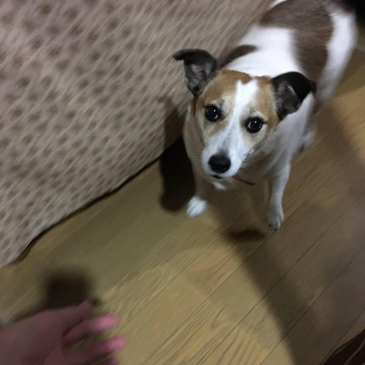 A813544f 13c7 4aef aad6 6a516d2071e8