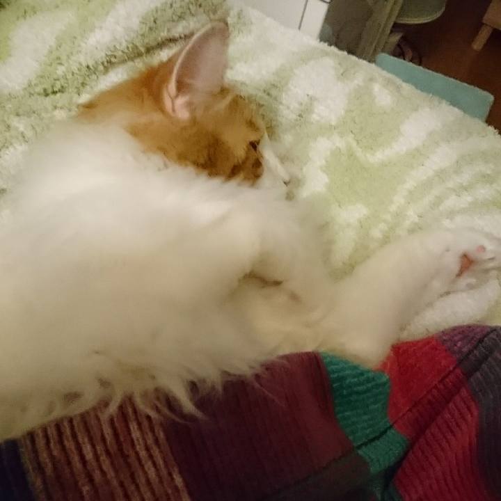 A8136433 2b94 4d65 bab0 e58ca291419a