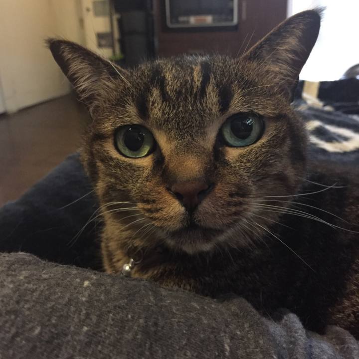 A813bfdf fa21 4ca8 893a eaa126adf177