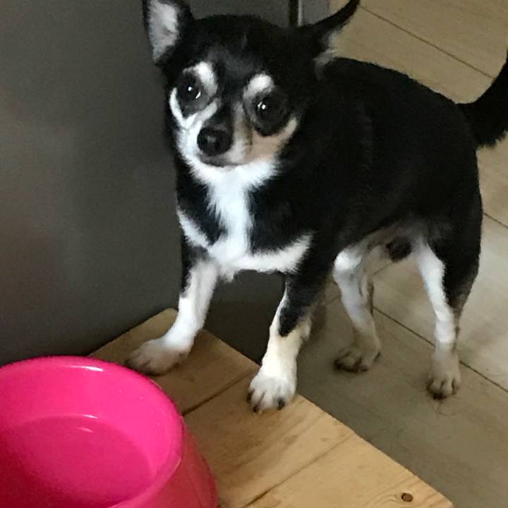 A813ebd8 99e7 4246 999a b6cb2616d2d8