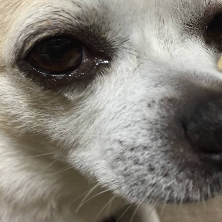 A8142fb0 a911 4991 883a ddb85e2cd5e1