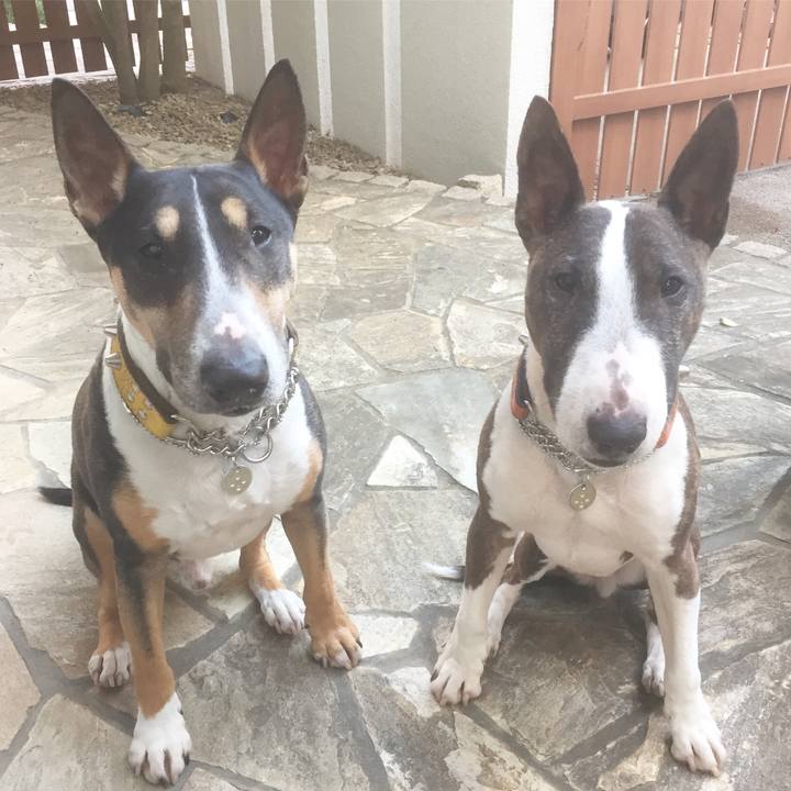 A81549d4 2d26 4f95 a0eb 46ed22f8ab35