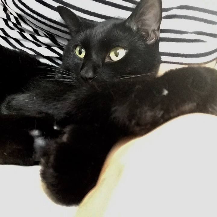 A8160bb7 a3be 4f1d b4b2 eb20c86edc9f