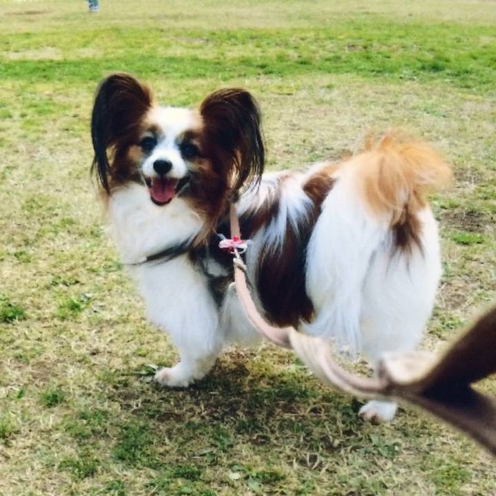 A8164245 6532 444a a8ef cb6863efc138