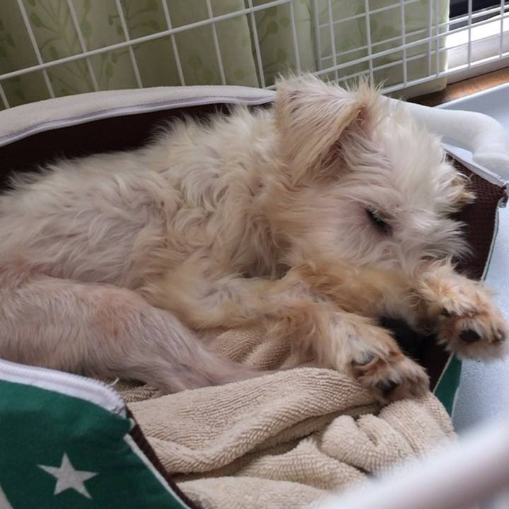 A816685e e468 4929 9be1 6e00c86a328a