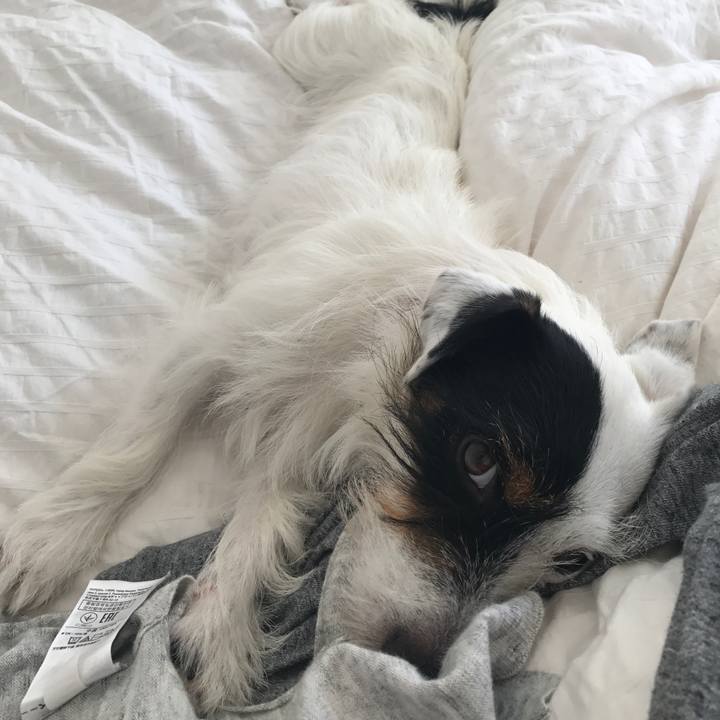 A8169a63 be77 4c0d 91a7 0fdfe977253b