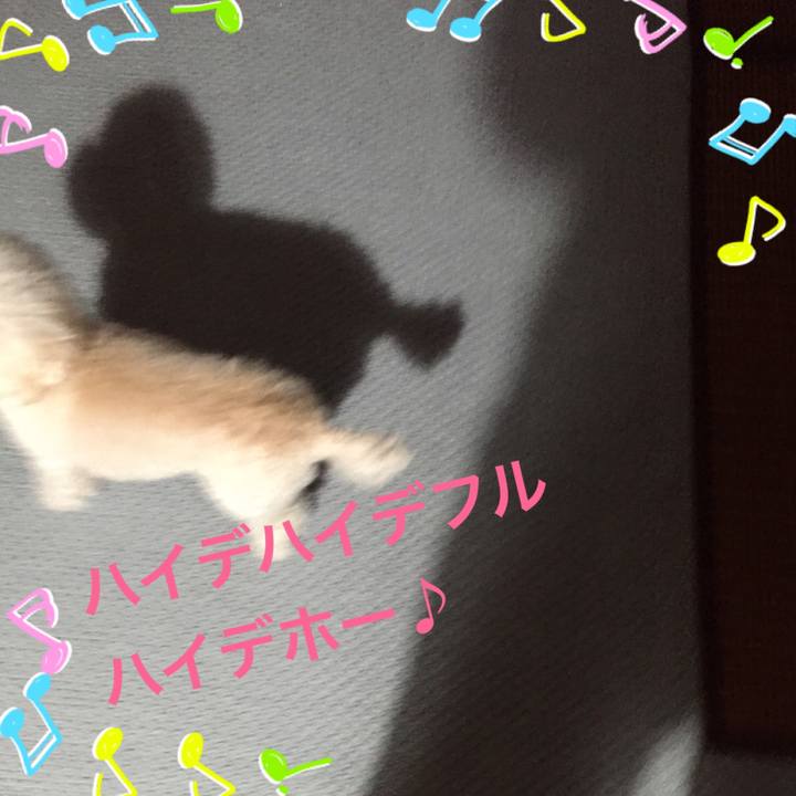 A81739d5 01a8 463e a013 5606c1861c02