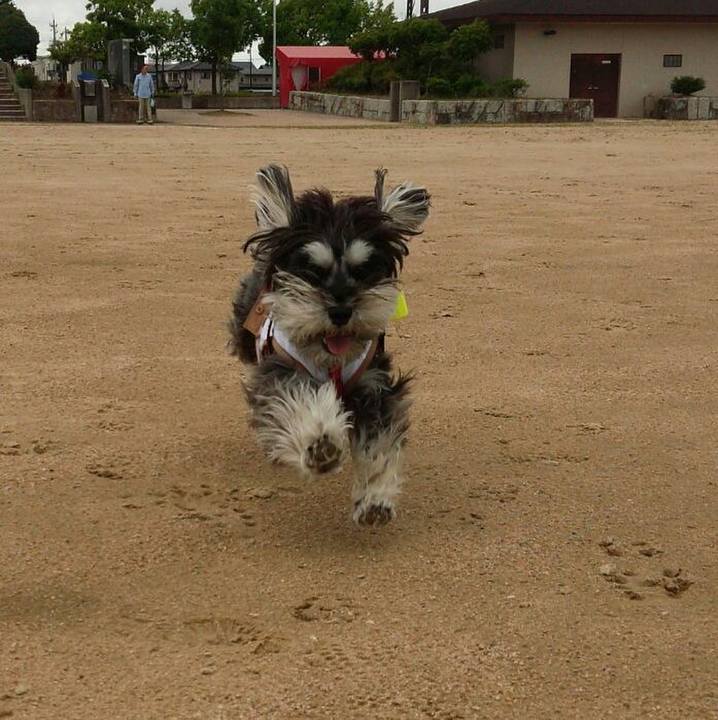 A817a98e 6111 4d21 a60d 708c7898c278