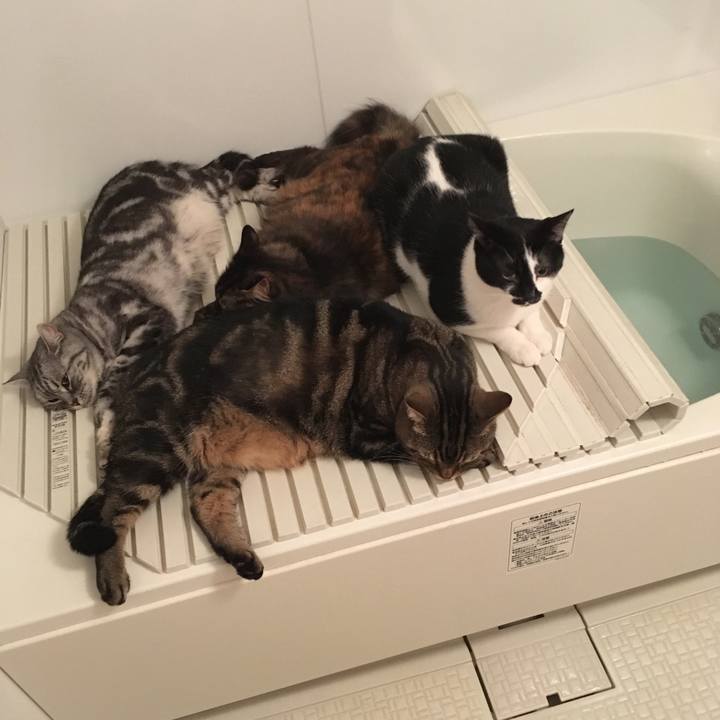 A817caa9 77fa 4f3f bb60 5a5edd87c2a4