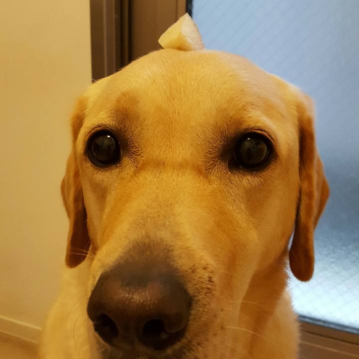 A817f40b 5d55 4321 bd94 b74933a47d6c