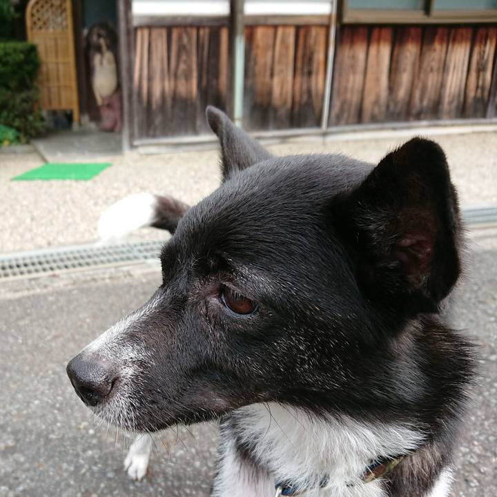 A81804cb 3fbb 42bf afd2 7d3d85ac4353