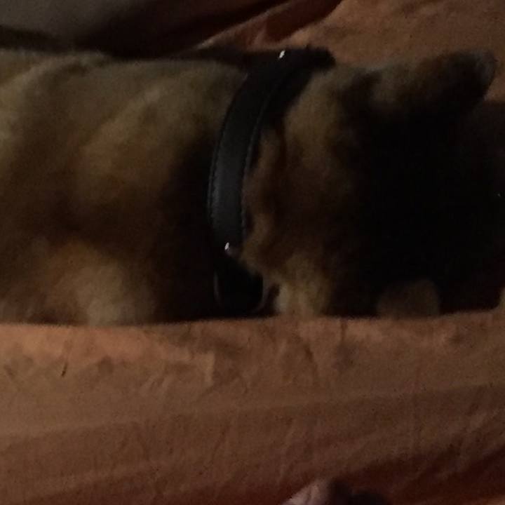 A8190230 21a6 49e6 90a0 2066deee669c