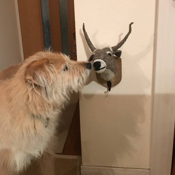 A819c275 642b 4c9a 8411 6427969814c5