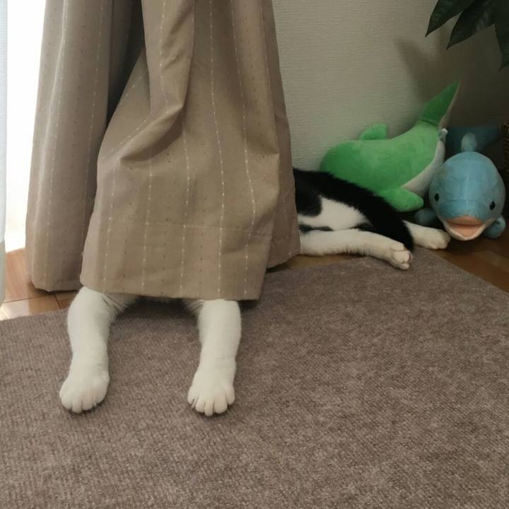 A819edfd fe2f 406e a147 7d9e1a07337e