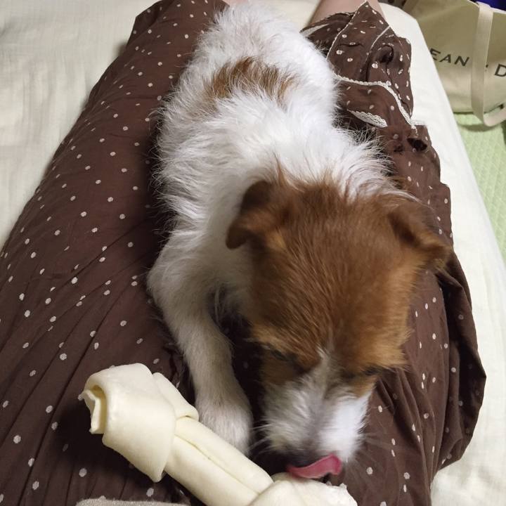 A81a48a2 9407 4961 8f73 7a0c40d902ad