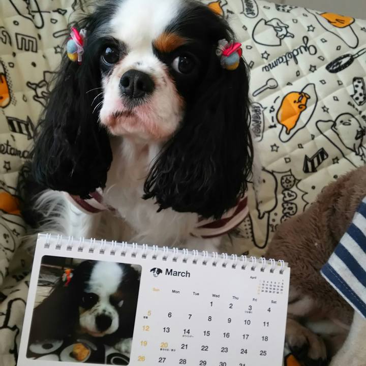 A81ab093 0c23 4a5a 9b95 242edc1385a7