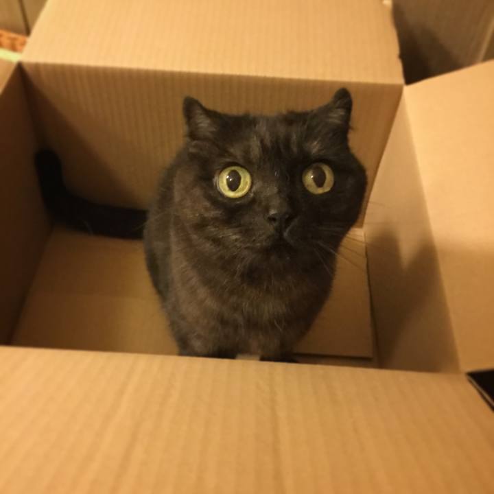 A81ad8e5 c10d 4c90 b8b8 699947fb4525