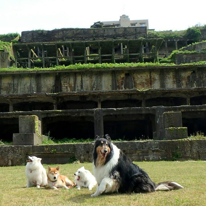 A81b6ba3 3afe 4456 b0ea 46d58beb8da8