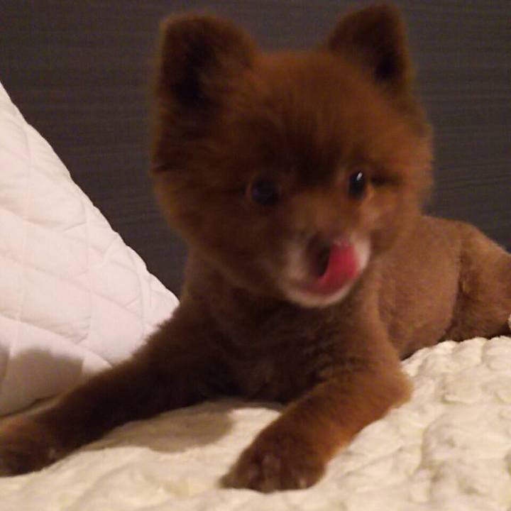 A81bc1ce f146 41b6 82fa f558d13fe1c3