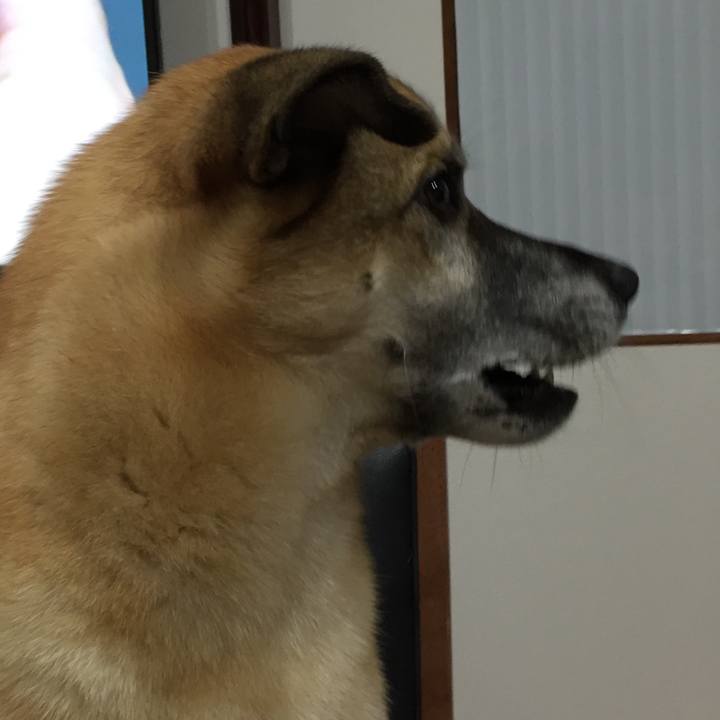 A81bd6d4 55f1 435f 8857 b457b4653477