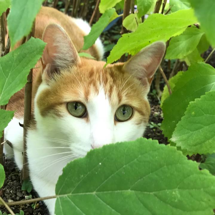 A81bee3e 049c 4480 8350 015d6f788997