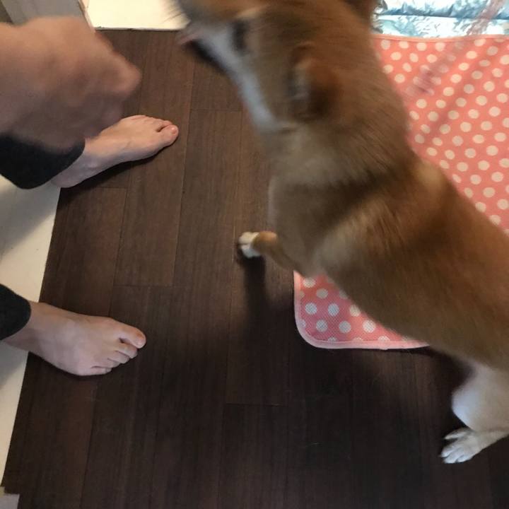 A81c31c2 04a5 4888 9cf9 074b720a0877