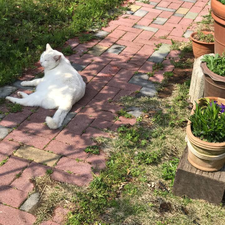 A81c3a7f fd1b 4bc4 b612 de042666535f