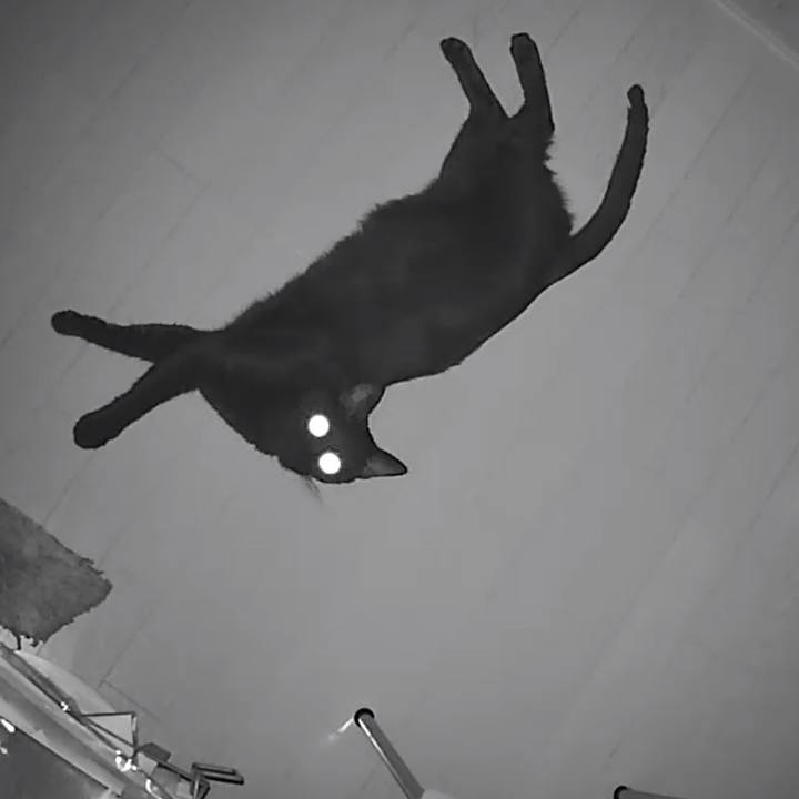 A81c760f 309f 444f a953 a197b5f04324