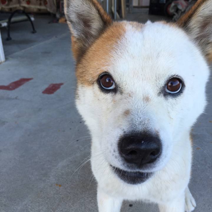 A81cda45 5973 44b2 8535 6a878d13730b