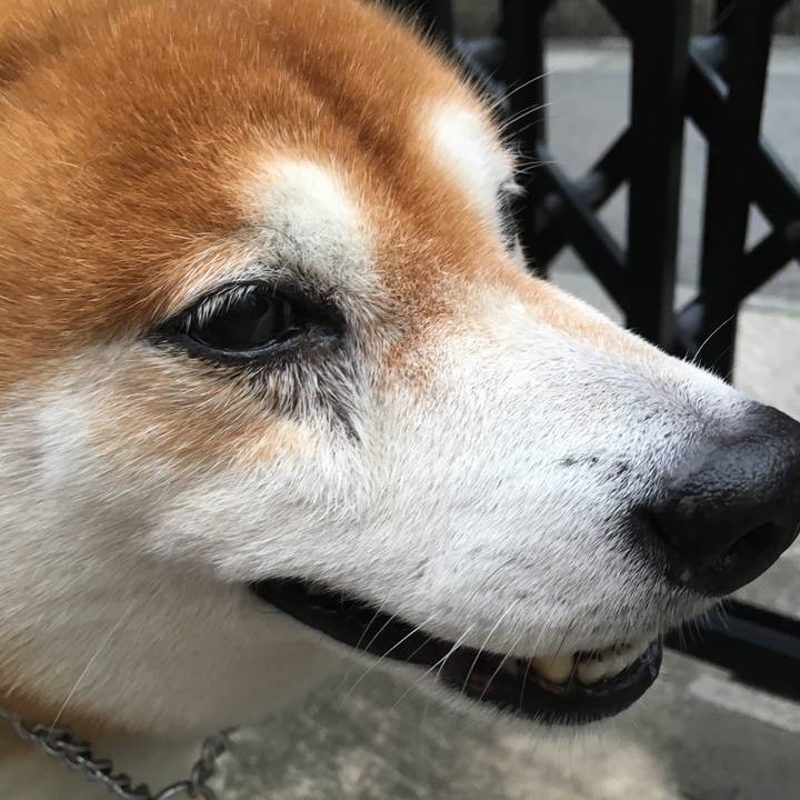 A81cf611 f450 4fb4 8abf 9adc4238fe08