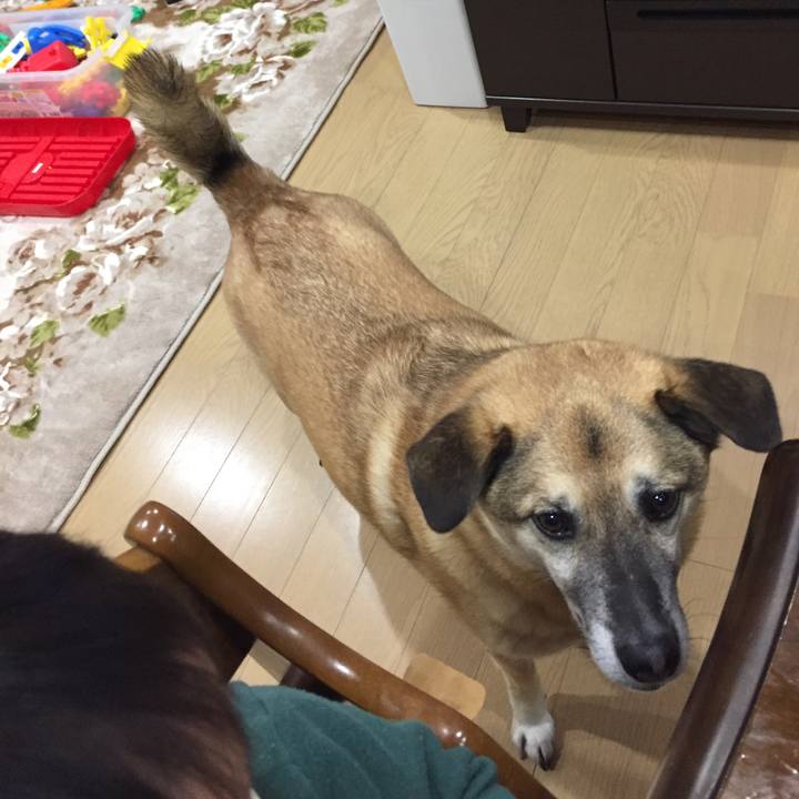 A81cfe2f 711e 4fba b3d2 efbe1f380629