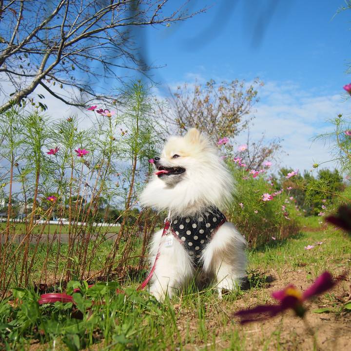 A81d6bcd 0389 488c 8ff8 db4afaf24452